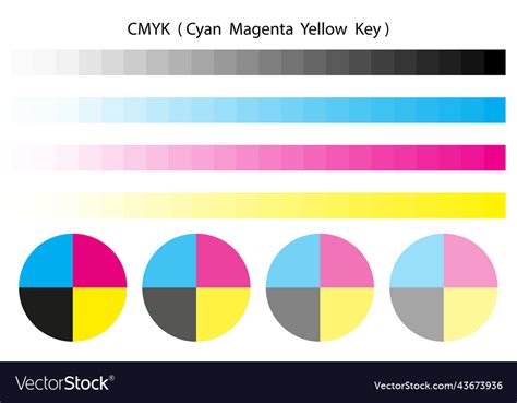 Image result for CMYK Color Wheel
