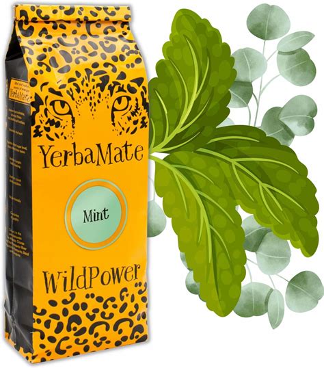 Yerba Mate Mint miętowa z eukaliptusem 200g - Ceny i opinie - Ceneo.pl