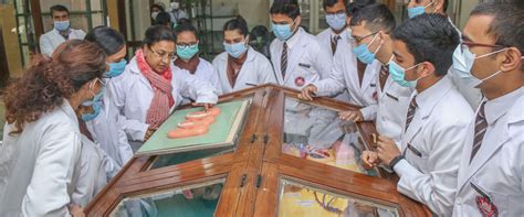 Shri Guru Ram Rai Institute Of Medical & Health Science