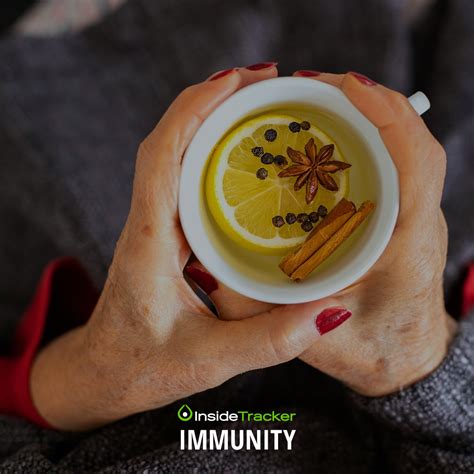 InsightTrack Reviews 的图像结果