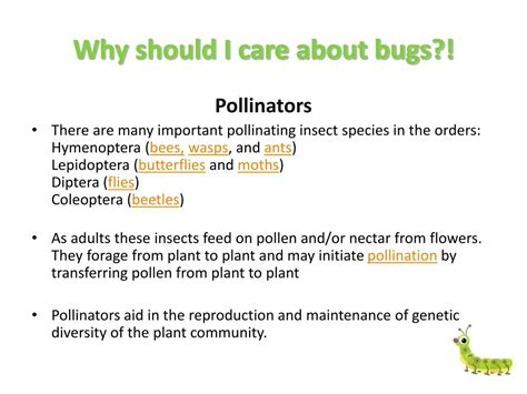 Image result for Insects Help Us How