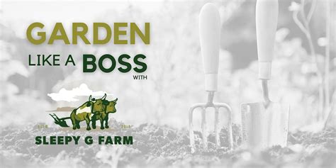 Your Organic Garden: A Workshop on Soil Care and Composting, Roots to ...