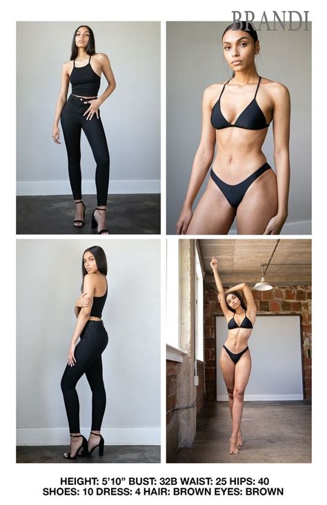 Image result for Sample Model Portfolio