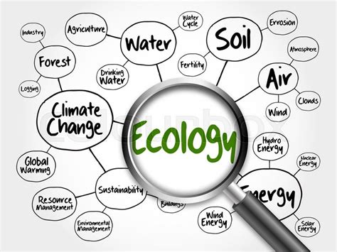 Environmental Science Concept Map 的图像结果