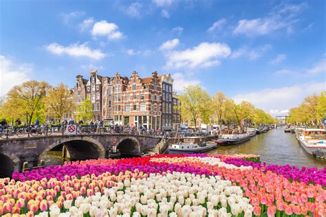 Amsterdam in August | Why Visit, Weather And Things to Do!
