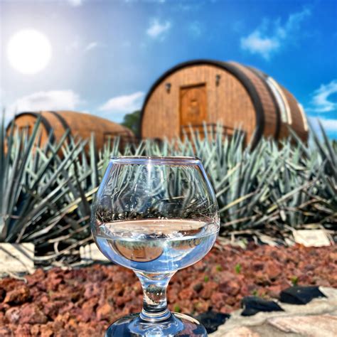 ¿Ya tienen todo listo para conocer el mejor hotel de México? Para más ...