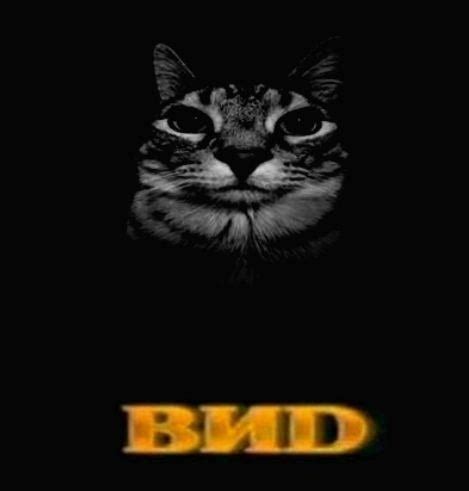 Image result for Roblox CATScript SS