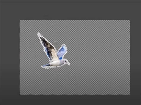 Image result for GIMP Tutorial On Removing Any Background