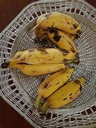 Fresh Banana Yelakki, 500 g : Amazon.in: Grocery & Gourmet Foods