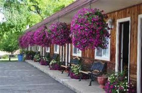 DEW DUCK INN (Plains) - Hotel Reviews, Photos, Rate Comparison ...