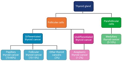 Papillary Thyroid Cancer Cells