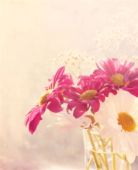 関連する画像の詳細をご覧ください。Гиф анимация Толстая кошка катается на камне