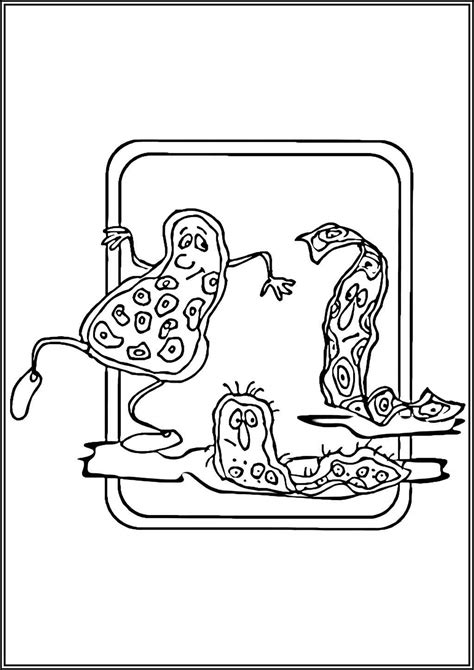 Biology Coloring Pages 的图像结果
