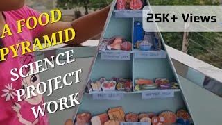 Food Pyramid Project Work 的图像结果