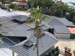 Blooms India Incorporation, New Delhi - Trader - Wholesaler ...