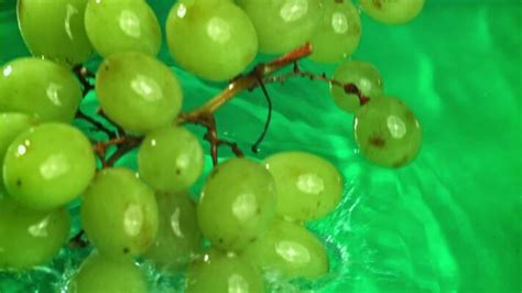 Image result for Grapefruiting Scene