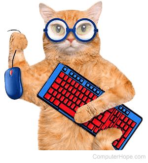 Image result for Script Kitty