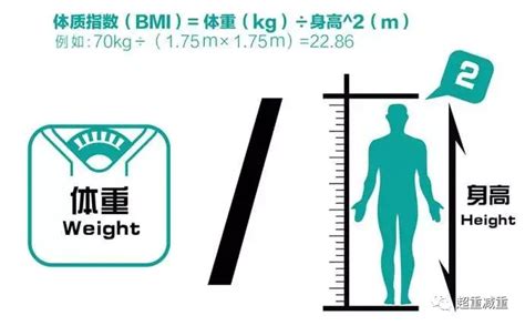 多重才算是大基数肥胖？测量方法是什么？统统交给你 - 知乎