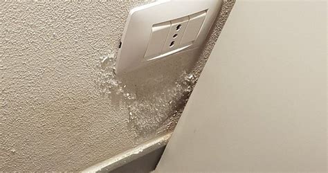 CROC HOUSE (Parma) - Guesthouse Reviews & Photos - Tripadvisor