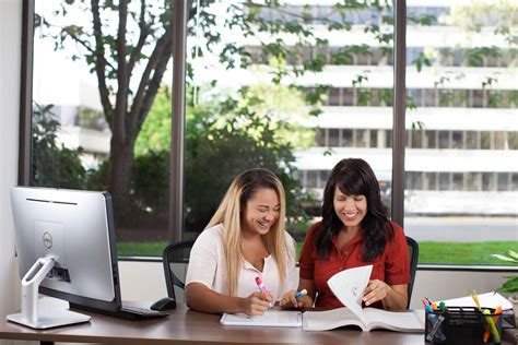 Spring Academy 的图像结果