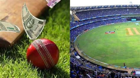 IPL 2024: ACU Cracks Down On Suspected Bookies At Rajasthan Royals ...