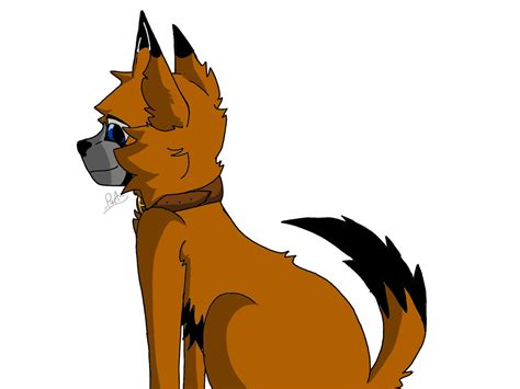 Image result for Dramatic Doggo