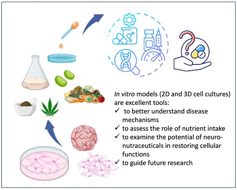 Diet and Nutrients in Rare Neurological Disorders: Biological ...