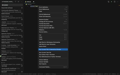 Image result for Vscode Python Interactive Window