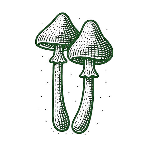 Shroomie Strains 2g – Spoonful Of Sugar