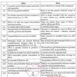 Comparison between DNA and RNA - NEET PDF Download
