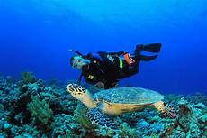 dive cozumel scuba diving in cozumel resorts packages caradonna dive cozumel scuba diving in cozumel resorts packages caradonna