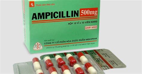 ampicillin ~ Nursing Path