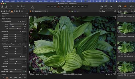 Image result for Capture One Pro 21 Tutorials
