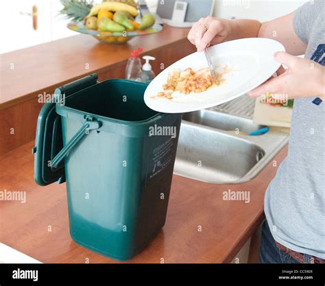 Food Waste 的图像结果