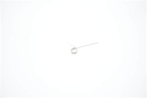 Spring Float 的图像结果