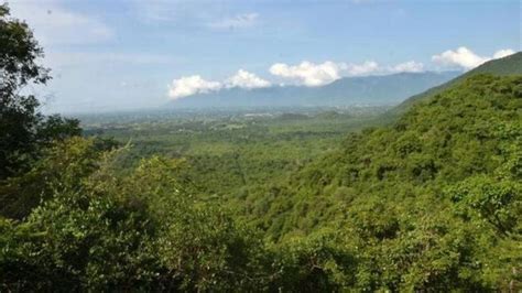 9 Best Trekking spots in Tamil Nadu