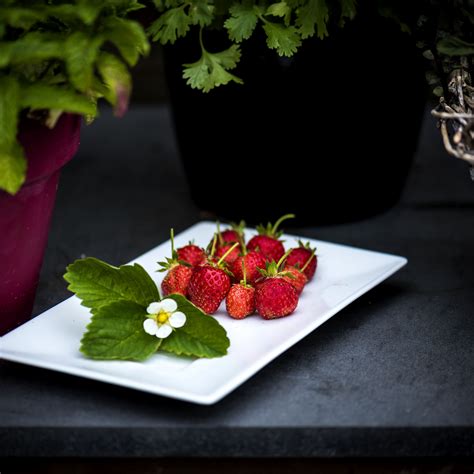 Download wallpaper 2780x2780 strawberry, berries, leaves, flower ipad ...