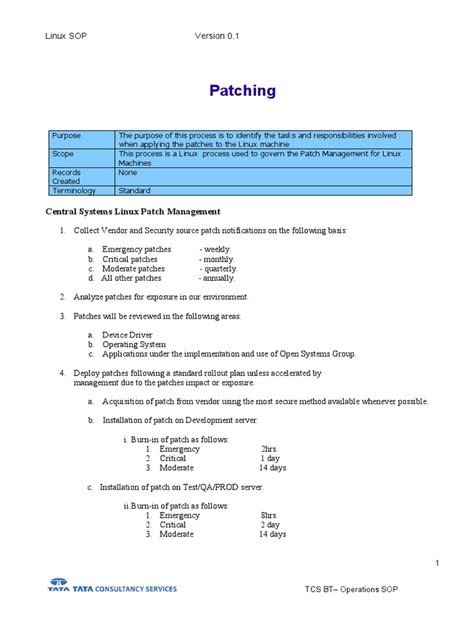 Image result for Patching Systems