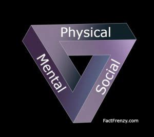 Health Triangle Explained 的图像结果