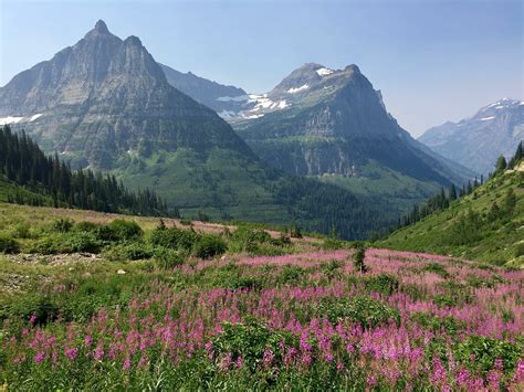 Names Of Mountains In Glacier National Park at Richard Ringler blog