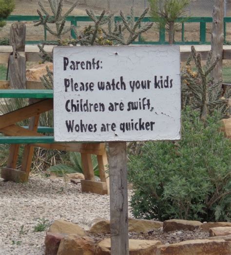 Different Types of Wolves 的图像结果