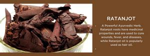 Ratanjot- Health Benefits, Uses and Important Facts - PotsandPans India