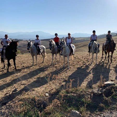 Wondefull ride in amazing scenaries! - Reviews, Photos - Cortijo el ...
