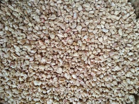 Corncob Animal Bedding Material Manufacturer, Supplier from Aurangabad