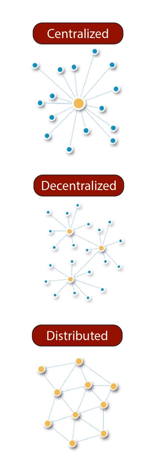 Network Architectures Table 的图像结果