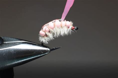 Image result for Sow Bug Fly Pattern