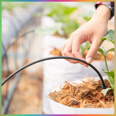 Image result for Drip Irrigation Tools