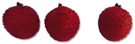 MDPI - Publisher of Open Access Journals