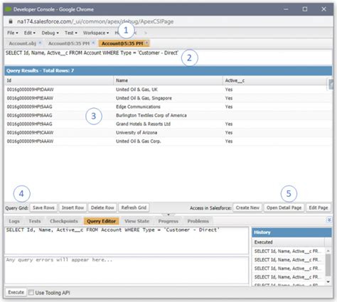 Image result for Salesforce Developer Console
