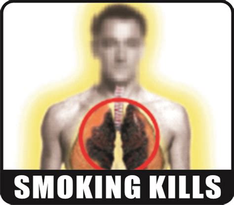 Smoking Kills Quick Guide at Rebecca Guay blog